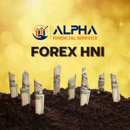 Alpha Forex HNI: Navigating Global Markets with Expertise